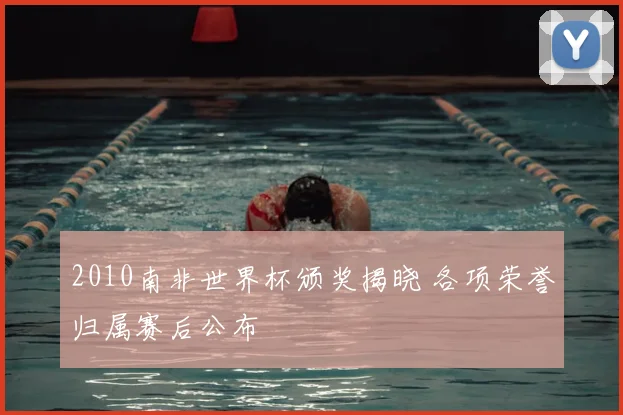 2010南非世界杯颁奖揭晓 各项荣誉归属赛后公布