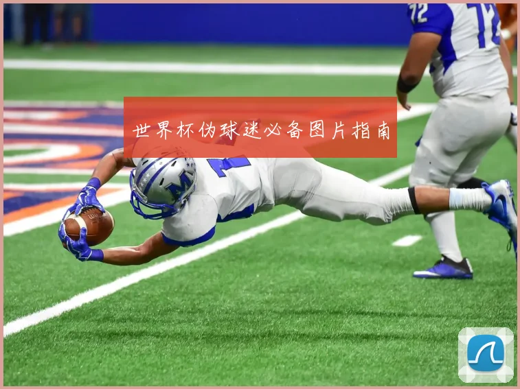 世界杯伪球迷必备图片指南